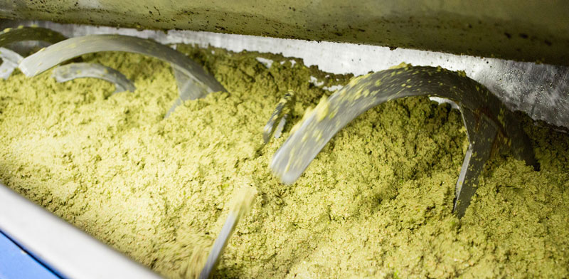 Pasta di olive in gramolatura